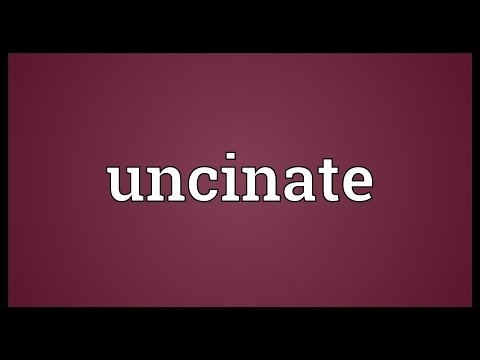 Header of uncinate