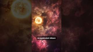 Paleyni̇n Tanri Kaniti