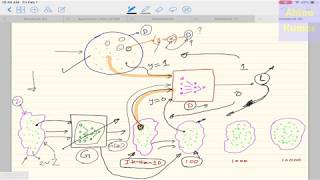 Deep Learning 28: (2) Generative Adversarial Network (GAN) : Loss Derivation from Scratch