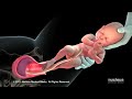 vaginal birth