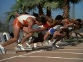 The World's Greatest Athlete (1973) Free Online Movie