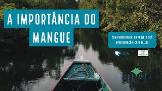 A Importância do Mangue e a APA de Guapimirim - VERDE MAR AO VIVO #17