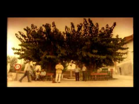 Pretenders To The Throne Video