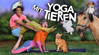 Yoga Challenge Mit Meinen Tieren Joeys Jungle
