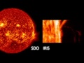 NASA captured gigantic fireball eruption off the sun