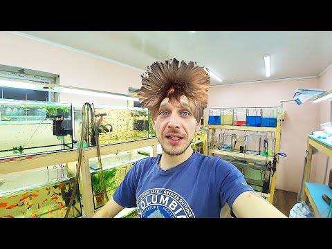 Порно От Которого Волосы Дыбом