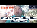 What is cigar rolling glue made from? - Cigar 101