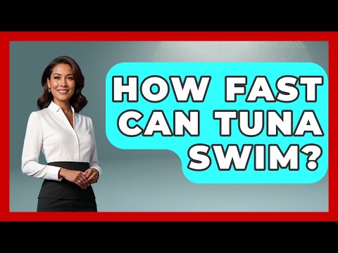 How Fast Can Tuna Swim? - The Marine Life Explorer