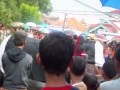 Banteng Edan Bantaran images Banteng Edan Bantaran