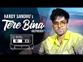 Tere bina reprise(full song)harrdy sandhu/latest punjabi songs 2020