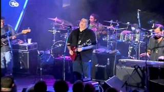 Watch Los Lobos That Train Dont Stop Here video