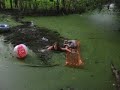 falling in a swamp