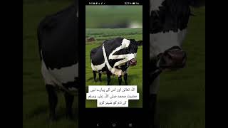 Ppppppppppppppppp Pppppppp Ppppppppppppppppp Ppppppppppppppppp Ppppppppppppppppp Ppppppppppppppppp