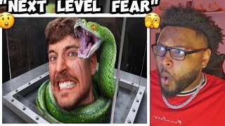 Mr Beast : Face Your Biggest Fear To Win $800,000 *REACTION*