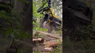 “Deep In The Woods: John Deere 1270G Harvester #Johndeere #Harvester #Automobile #Viral #Tree #Wood