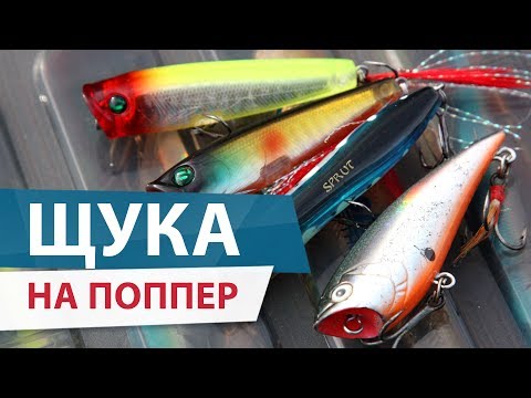поклевки на поппера поклевки на поппера