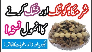 Sharmgah Ko Tang Karne Ka Nuskha Aur Likoria Ka Ilaaj In Urdu Hidni