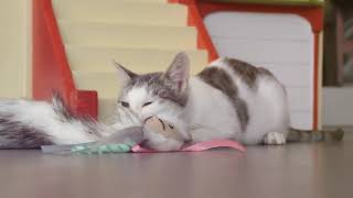Smartykat Chitter Critter Electronic Cat Toy