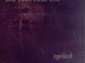 Eyelash - Big Electric Cat