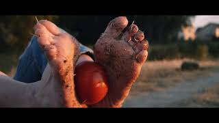 Squashing These Toematos