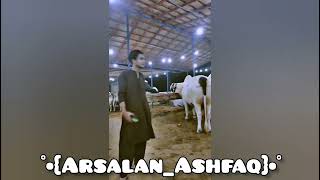Yusuf Got Mandi Video 1 Jun 2024
