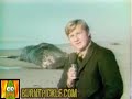 Dead Whale + Dynamite = Bad Idea