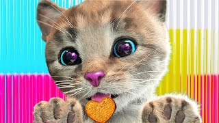 Cute Kitten Little Cat Adventure - Play Fun Pet Care - Preschool Educational Games #1084