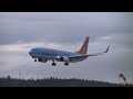 Sunwing Airlines Boeing 737-800 Landing klip izle
