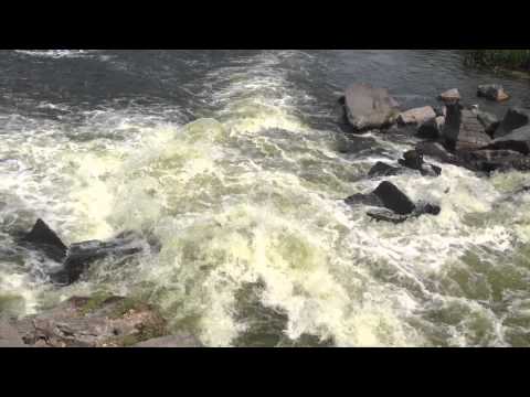 Коростышев Плотина июнь2013