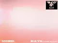 RATS heath(X JAPAN) & 鈴木慎一郎 「GODSEED」