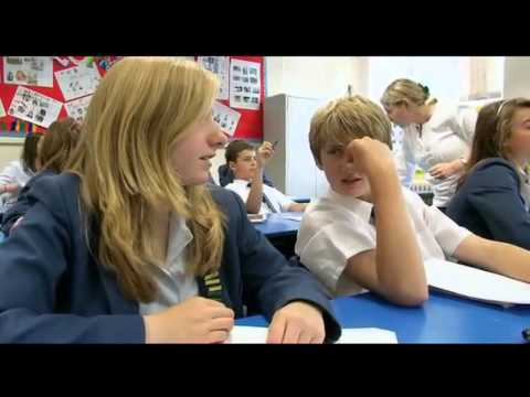 Watch The Lesson Online