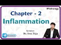 Inflammation | Vascular and Cellular events, Wound Healing & Granuloma - Robbins Pathology Chapter-2