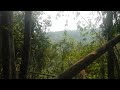 HAV 動画18a