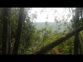 HAV 動画18b