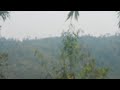HAV 動画18c