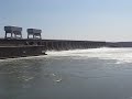 The Kentucky Dam in Western Kentucky, Land Between the Lakes, Great Blue Heron