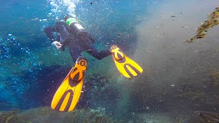 Spring Diving at Ichetucknee Springs State Park Near Lake City