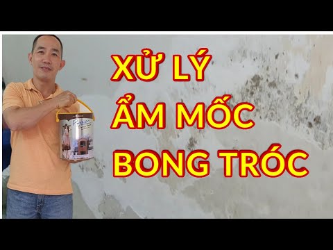 Cách xử lý Ẩm Mốc Bong Tróc tường| Minhnguyenhouse