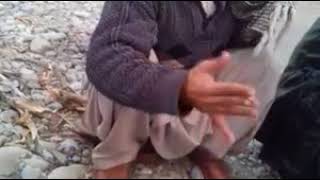 funny clip tall pudry