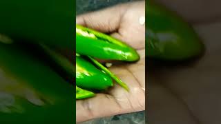 Supper Testy Chowmin
