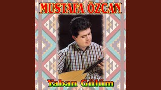 Yaban Gülüm