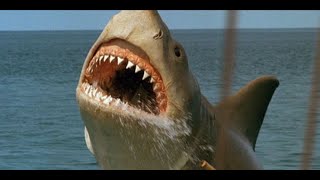 Jaws The Revenge 'Shark Roar' Explained