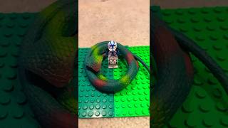 Danger Noodle