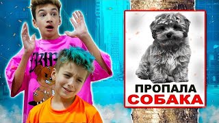 Спасли Собаку Суперзвезду ! Папа В Шоке!