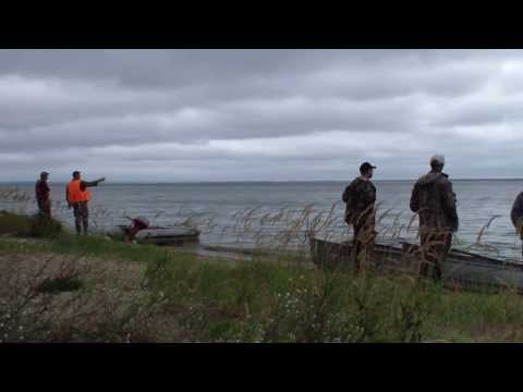 ловля сороги на горьковском море видео ловля сороги на горьковском море видео