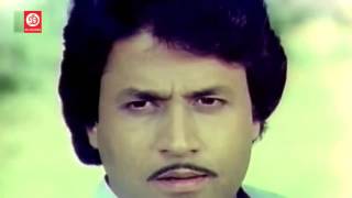 पयर दलहनय