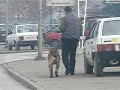 SOP - srpski odbrambeni pas