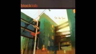 Watch Black Lab Lifelike video