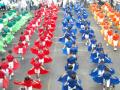 Fiel Demonstration Grade III level-SMCQC SY 2010-2011