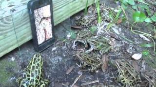 laptop stealing scene, funny videos, Videos, awareness videos, laptop thief CCTV camera video